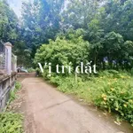 Bán đất vườn cao su 4.300 m² An Lĩnh Phú Giáo 1 tỷ 9 - Ảnh thu nhỏ 1