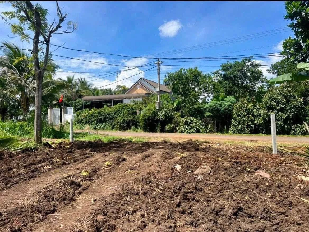 Bán đất nền hẻm Đường Tránh Đông Buôn Ma Thuột 200m² 799 triệu - Ảnh thu nhỏ 4