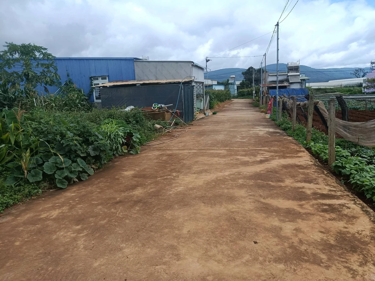 Bán đất 5x27m, 100m2 thổ cư, đường số 3 Quảng Lập, Đơn Dương, Lâm Đồng, giá 700 triệu - Ảnh 1