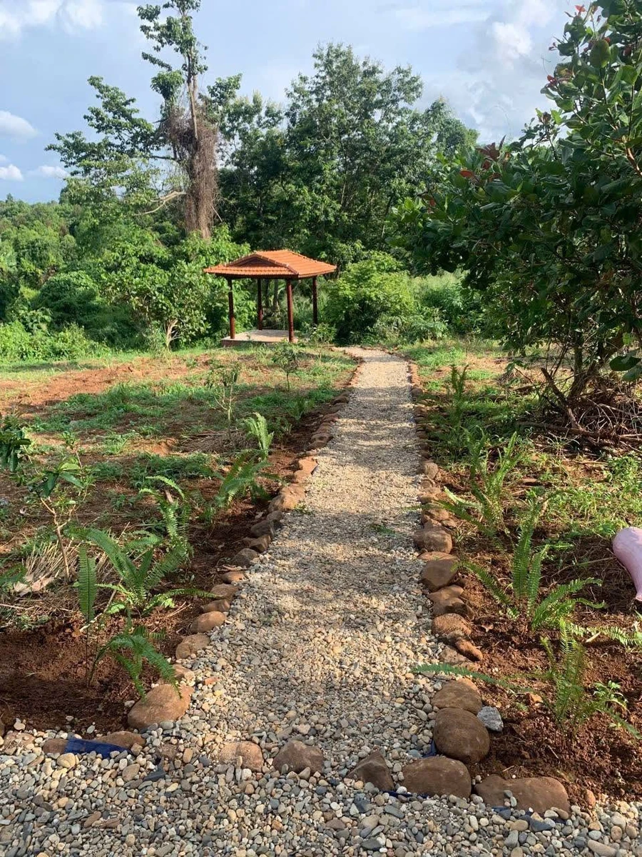 Bán nhà vườn 1609m2 Xã Ea Nuôl Đắk Lắk 1,2 tỷ - Ảnh 1