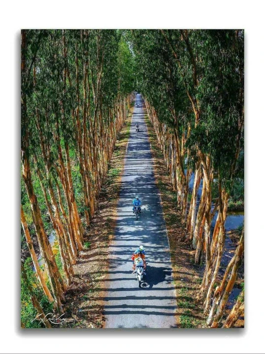 Chính chủ bán 19000m2, khu du lịch sinh thái Khóm cầu đúc, sẵn nhà, thổ cư, sổ hồng riêng - Ảnh 1