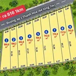 Đất vườn Thạnh Hòa Long An 625m2, 625 triệu - Ảnh thu nhỏ 2