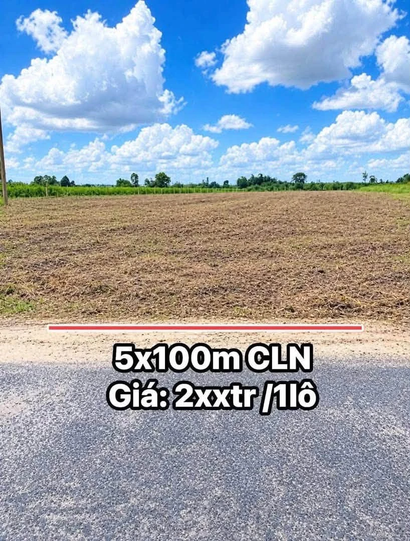 Bán đất vườn 5x100m (500m2) đường nhựa 8m tại Phường Bình Minh, Tây Ninh - Ảnh thu nhỏ 2