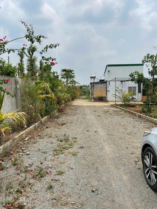 Bán nhà vườn 6,5 sào view ruộng Buôn Ma Thuột