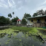 Bán đất view 2386m2 Bình Minh Đồng Nai, 6 tỷ - Ảnh thu nhỏ 2