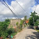 Bán lô đất 56m2 ngõ thông ô tô tại Xích Thổ, phường An Hải, giá hơn 1 tỷ - Ảnh thu nhỏ 3