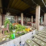 Cho thuê mặt bằng kinh doanh 250m² mặt tiền đường 3 Tháng 2, Rạch Giá - Ảnh thu nhỏ 4