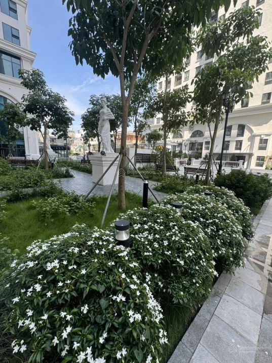 Chỉ với 1,2 tỷ sở hữu ngay căn hộ chung cư Eden Garden Lê Lợi - Ảnh thu nhỏ 4