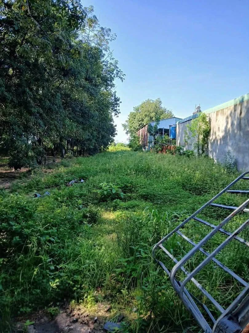 Bán đất Tân Bình 1000m2 giá 2,7 tỷ - Ảnh 1