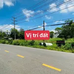 Bán đất mặt tiền Võ Văn Kiệt Phước Hải 310m2 - Ảnh thu nhỏ 4