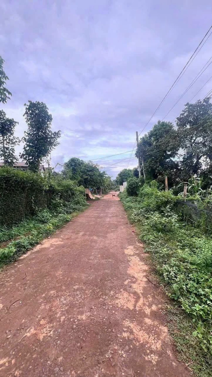 Bán 740m² đất vườn thổ cư Ea Kao giá 1 tỷ 290 triệu - Ảnh thu nhỏ 2
