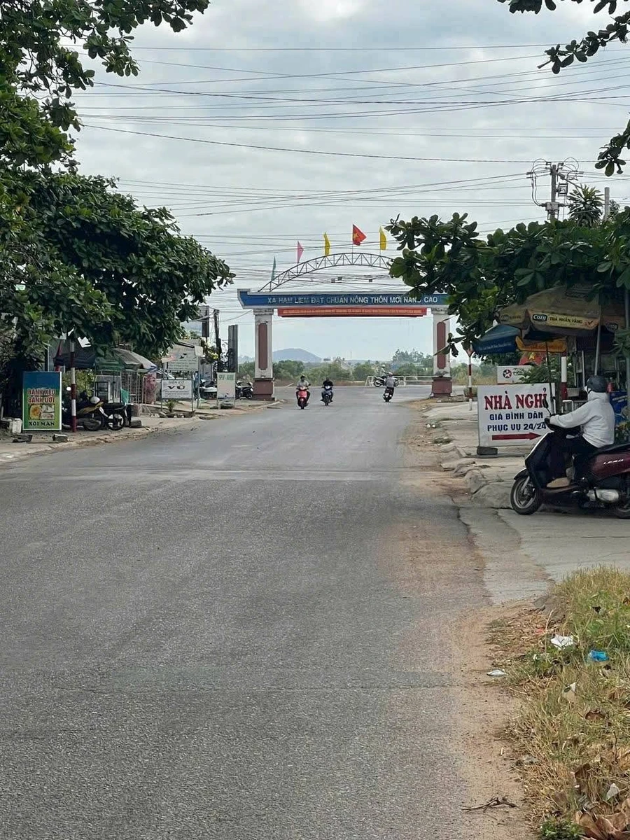 Bán lô đất thổ cư 137m² mặt đường nhựa Hàm Liêm, Bình Thuận - Ảnh thu nhỏ 3