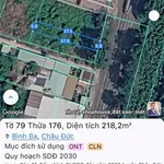 Bán lô đất mặt tiền Quốc lộ 56, 218m² Bình Ba - Ảnh thu nhỏ 1