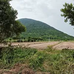 Bán đất trồng cây 600m² Tây Ninh, Phường Bình Minh - Ảnh thu nhỏ 4