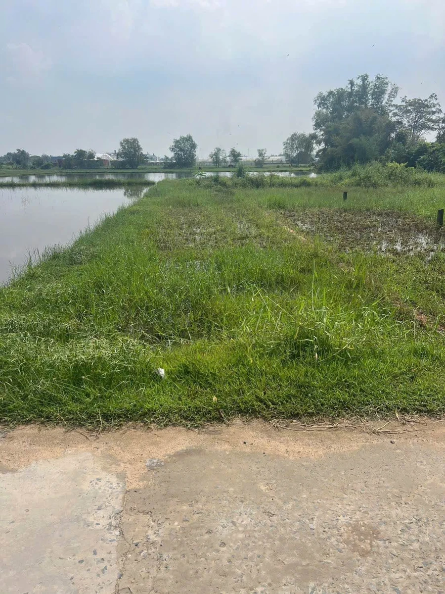 Bán nền đất 5x30m (150m²) gần chợ Mỹ Hạnh Nam - 1 tỷ 320 - Ảnh 1