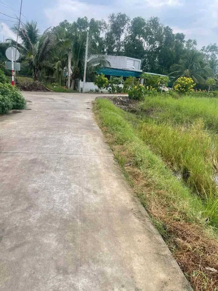 Bán đất 990m2 Bến Lức, Long An - 2 tỷ 700 triệu - Ảnh thu nhỏ 3