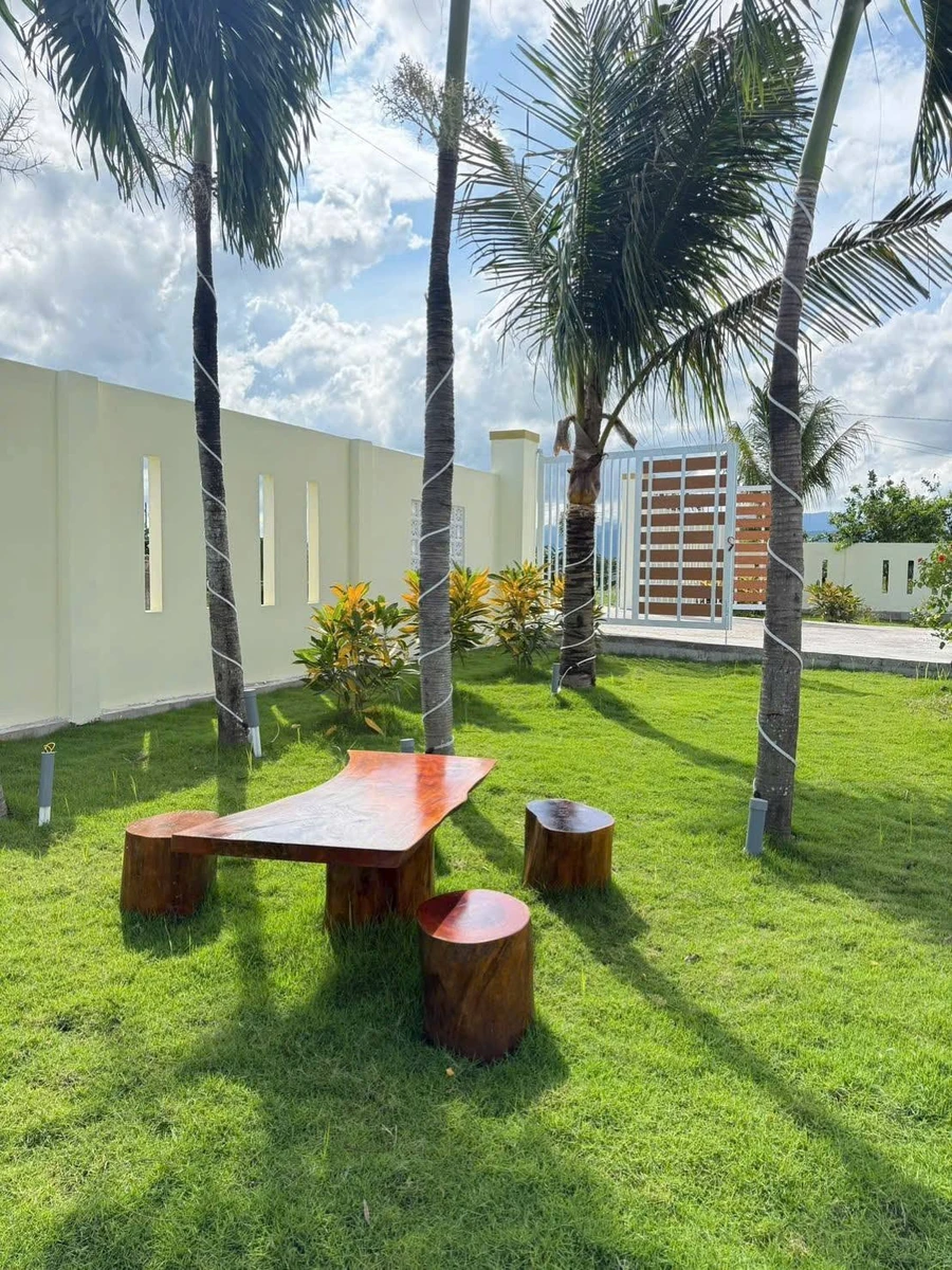 Bán nhà có vườn, cây trái, 1.606m² ở Phan Thiết - Ảnh thu nhỏ 3