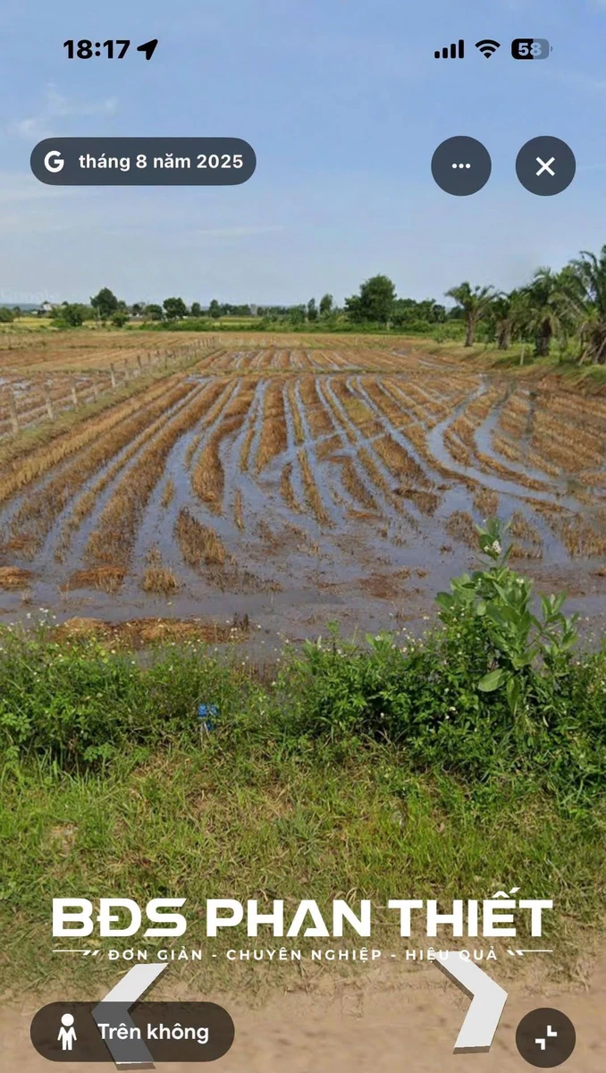 Bán đất mặt tiền Hàm Chính 2.000 m2 tại Phan Thiết - Ảnh thu nhỏ 4