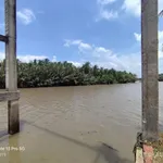 Bán đất và nhà xưởng 3.000m² Mỏ Cày Bắc, giá 1 tỷ 6 - Ảnh thu nhỏ 2