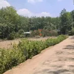 Bán đất Bình Long 300m, thổ cư 100m, giá 150 triệu - Ảnh thu nhỏ 2