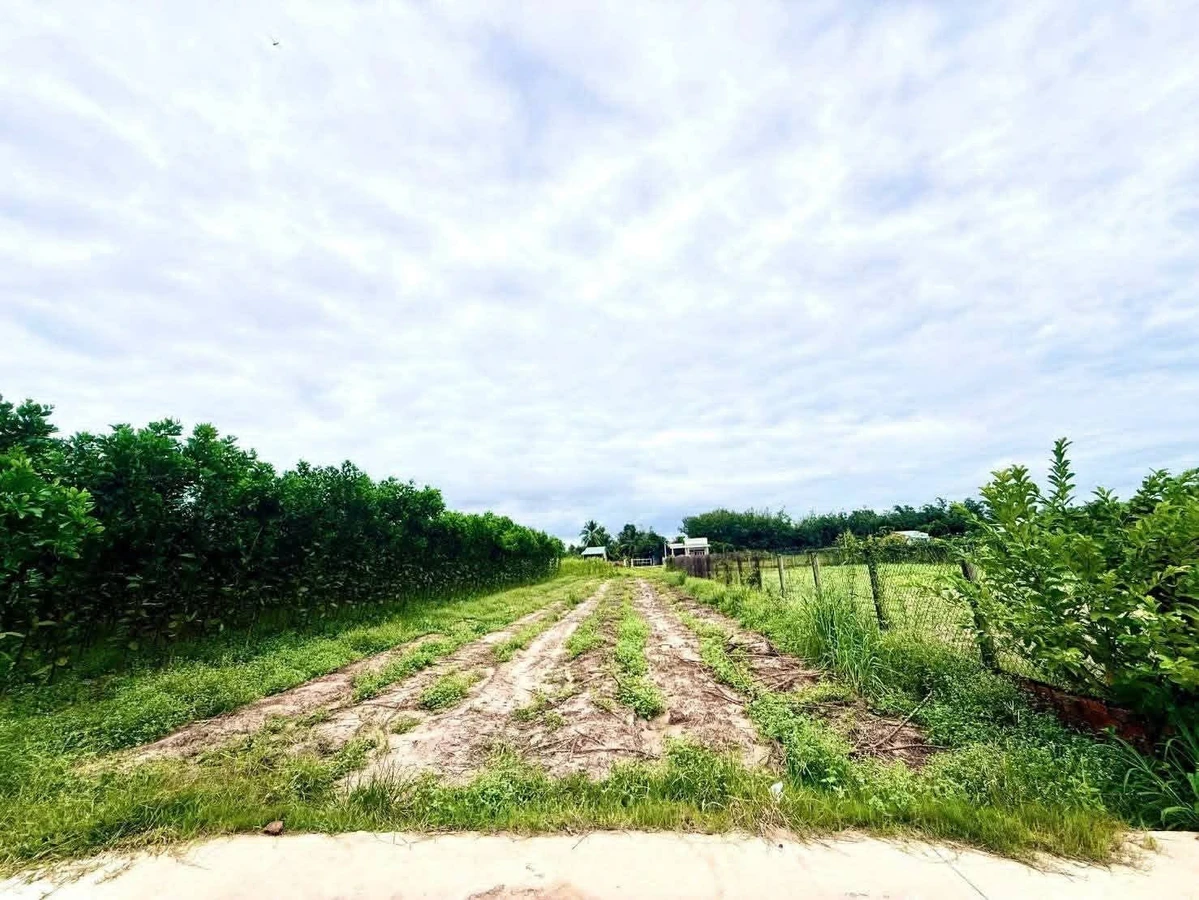 Bán đất 500m² sát chợ An Cơ Châu Thành Trà Vinh 75 triệu - Ảnh 1