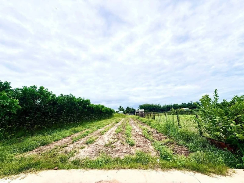 Bán đất 500m² sát chợ An Cơ Châu Thành Trà Vinh 75 triệu