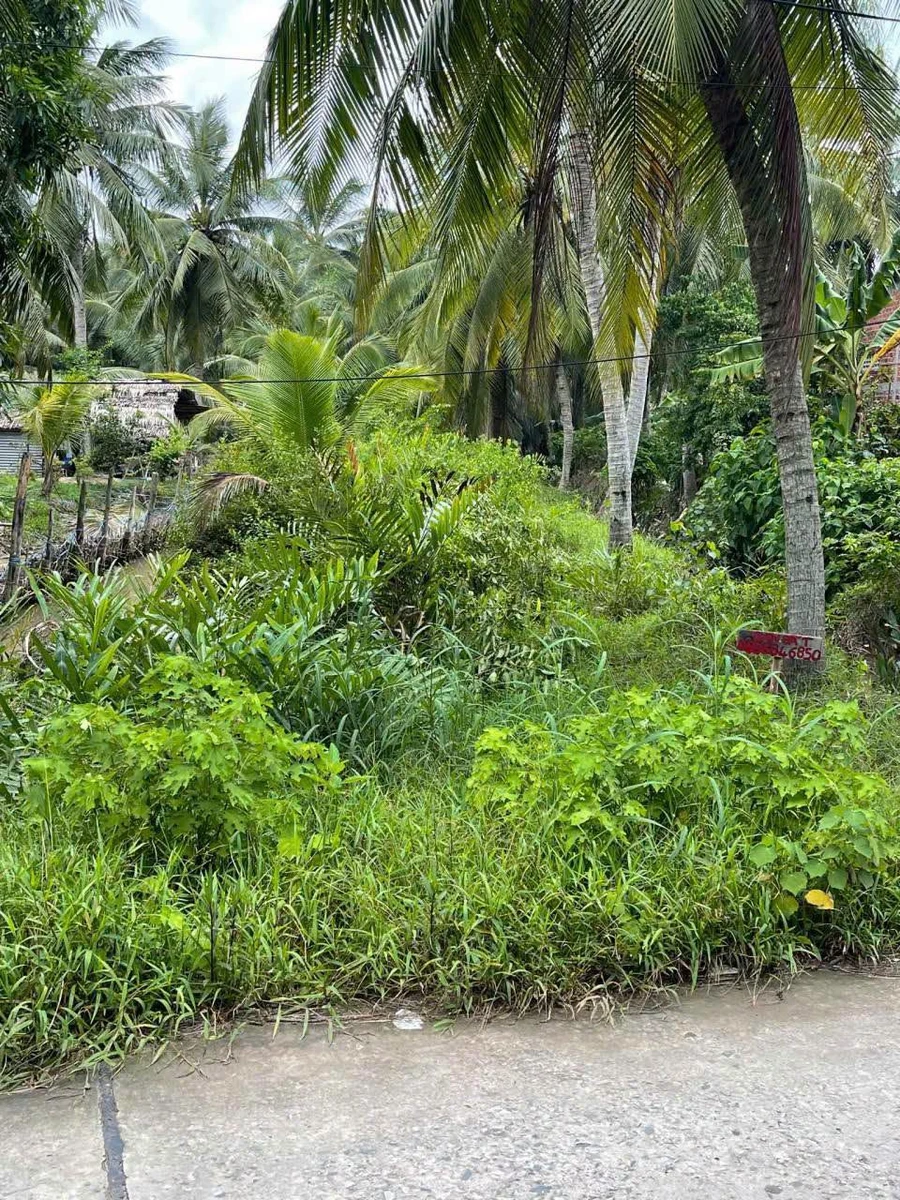 Bán đất 500m2 mặt tiền Huyện Lộ 26 Tân Trung, Bà Rịa - Vũng Tàu - Ảnh thu nhỏ 4