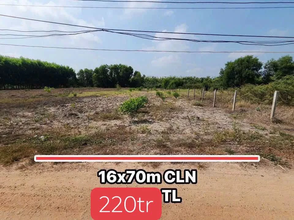 Bán đất 1000m2 Tây Ninh 220 triệu - Ảnh thu nhỏ 3