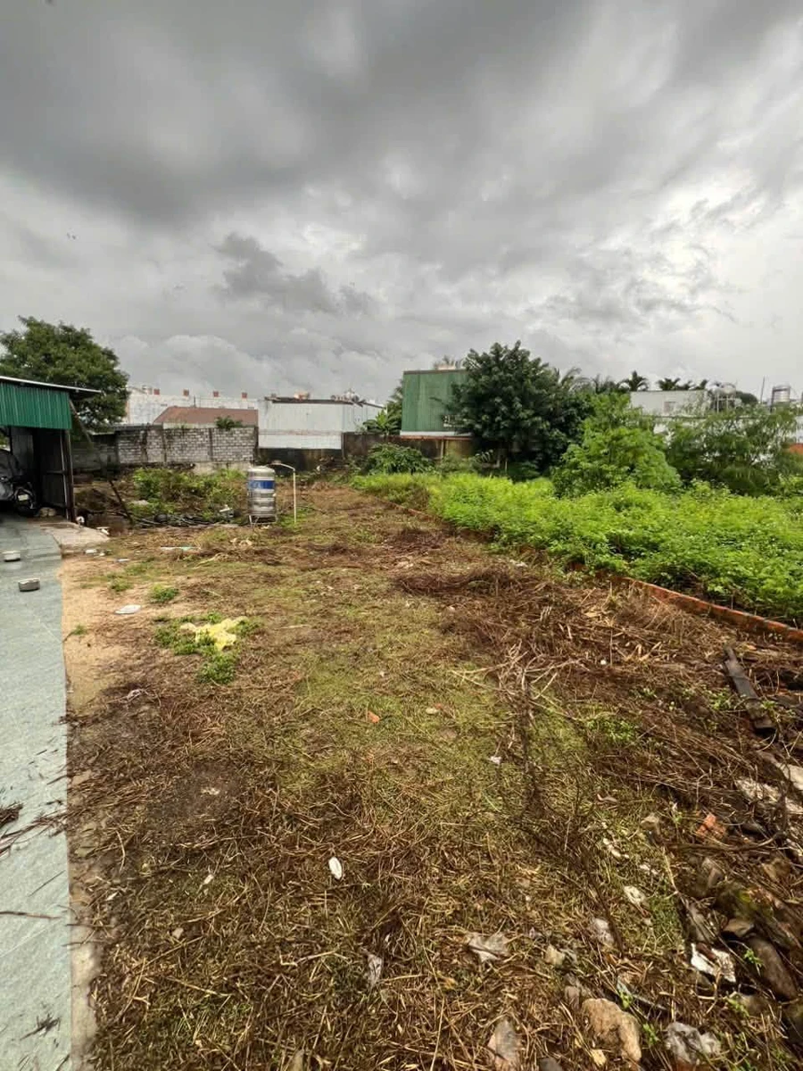 Bán đất hẻm ô tô Nguyễn Công Trứ 150m2 - 2,95 tỷ - Ảnh 1