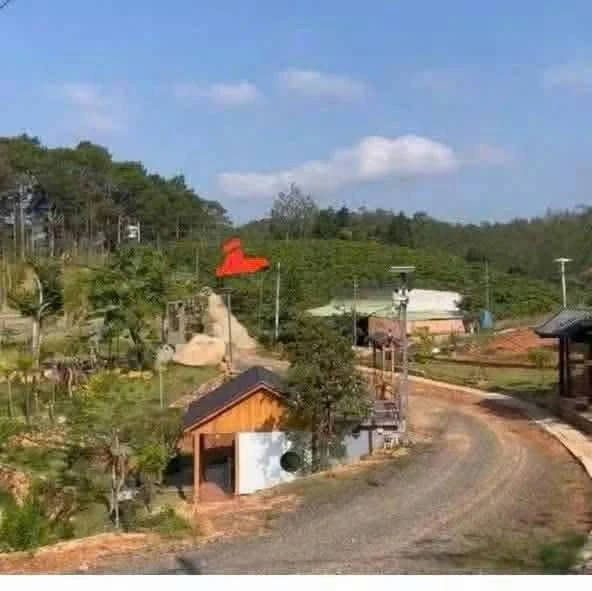 Bán vườn cà phê 400m thổ cư Bảo Lâm 4.1 tỷ