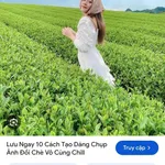 Bán vườn nghỉ dưỡng 5 hecta Bảo Lâm Lâm Đồng 6.2 tỷ - Ảnh thu nhỏ 1