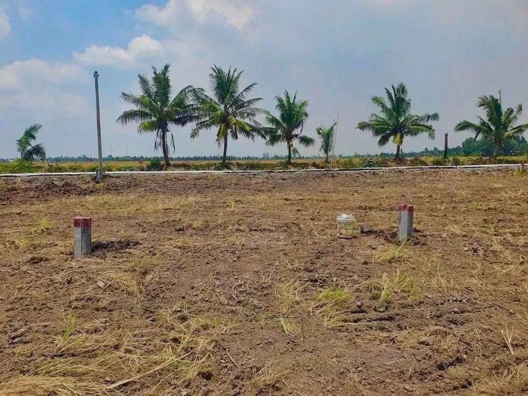 Bán nền đất 100 m² Kinh 5, Thạnh Lộc, Cần Giờ - Ảnh thu nhỏ 2