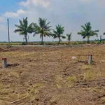 Bán nền đất 100 m² Kinh 5, Thạnh Lộc, Cần Giờ - Ảnh thu nhỏ 2