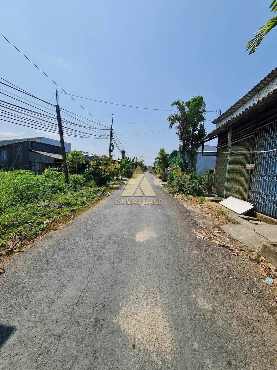 Bán đất thổ cư 648m² Cà Mau gần Cầu Khánh An - Ảnh thu nhỏ 3