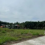 Bán đất Xuân Lộc 250m² view núi 490 triệu - Ảnh thu nhỏ 2