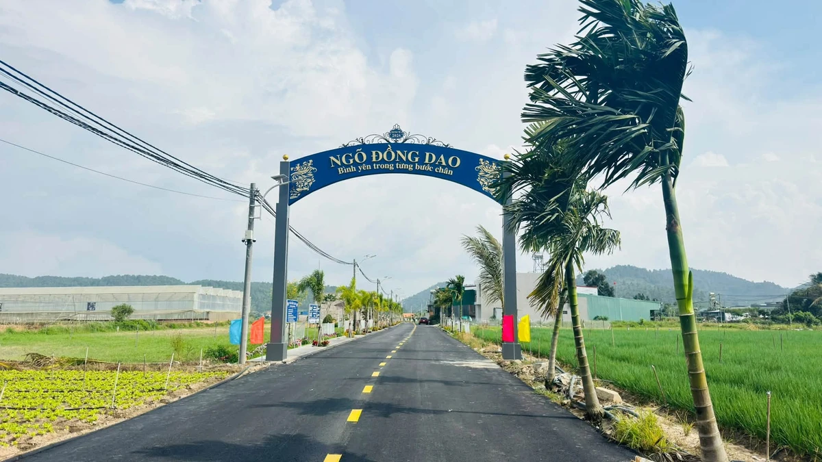 Bán lô đất 75m² tại Đức Trọng, giá 1 tỷ 650 triệu - Ảnh thu nhỏ 2