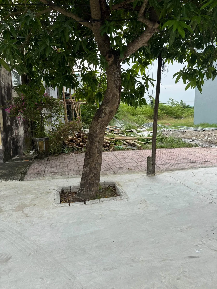 Bán đất Đồng Vĩnh 83,5m² 2 tỷ 5 mặt đường Trần Đình Phong - Ảnh thu nhỏ 3