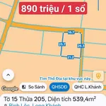 Bán vườn chôm chôm 500m² Long Khánh, 890 triệu - Ảnh thu nhỏ 5