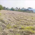 Bán đất mặt tiền 1000m2 thổ cư, sổ hồng riêng, đường Chính Cống, Xã Phước Lý, Cần Giuộc - Ảnh thu nhỏ 3