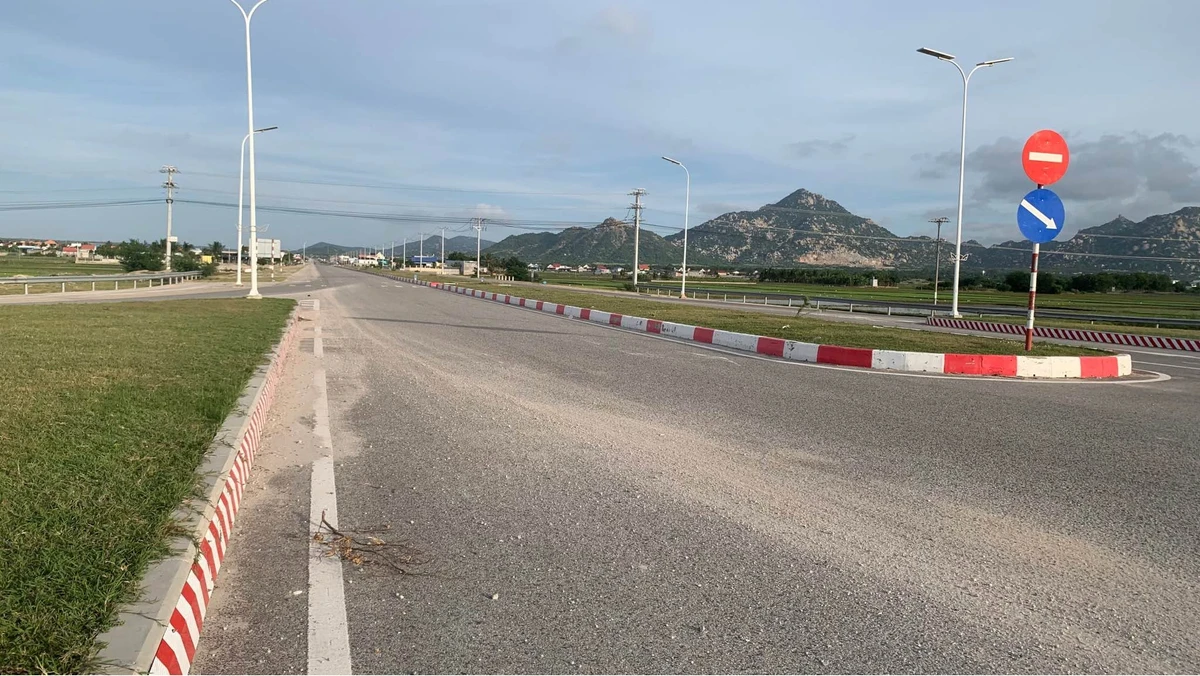 Bán đất lúa mặt tiền QL1A Nhà Bè 2919m2 - Ảnh thu nhỏ 4