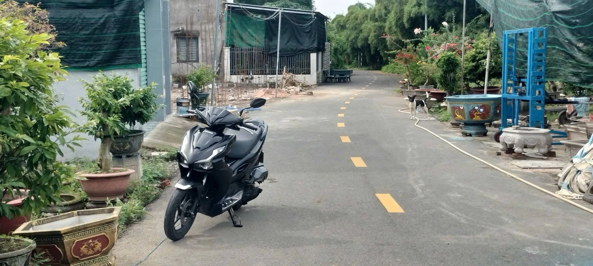 Bán nhà vườn 647m2 gần ngã tư Phước Hữu Tam Long - Ảnh 1