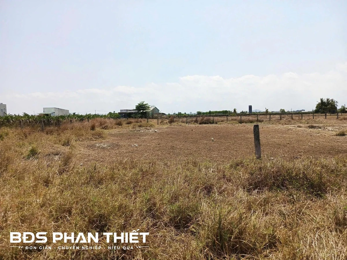 Bán đất mặt tiền Phan Thiết 1000m² giá 1.25 tỷ - Ảnh thu nhỏ 3
