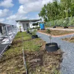 Bán nhà vườn 1000m² Thủ Thừa, Long An giá 1,199 tỷ - Ảnh thu nhỏ 4