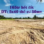 Bán đất thổ cư 50m2 Châu Thành, Bến Tre 165 triệu - Ảnh thu nhỏ 1