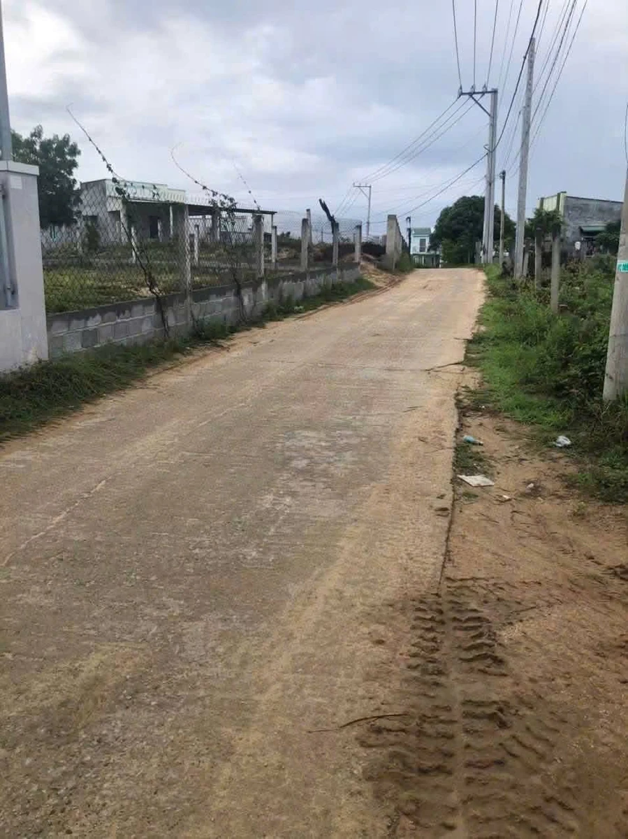 Bán lô đất vườn có nhà cấp 4 tại Ninh Phước, Khánh Hòa - Ảnh thu nhỏ 3