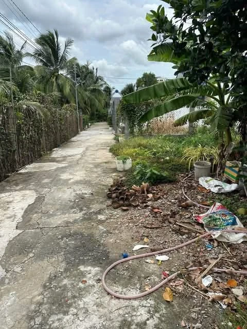 Bán nền đất Phú Tân Bến Tre 141m², 700 triệu - Ảnh thu nhỏ 4