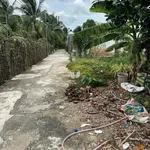 Bán nền đất Phú Tân Bến Tre 141m², 700 triệu - Ảnh thu nhỏ 4