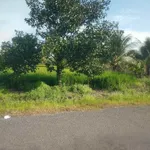 Bán đất 1560m² mặt tiền 20m Trường Xuân Long Hoa Tây Ninh - Ảnh thu nhỏ 2