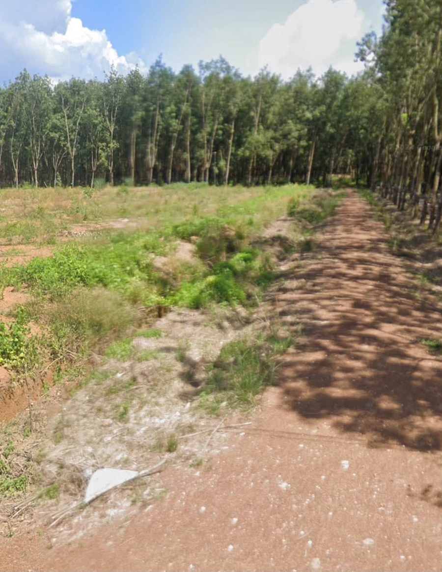 Bán đất 5000m² mặt tiền, Bình Tân, 590 triệu - Ảnh 1