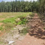 Bán đất 5000m² mặt tiền, Bình Tân, 590 triệu - Ảnh thu nhỏ 1